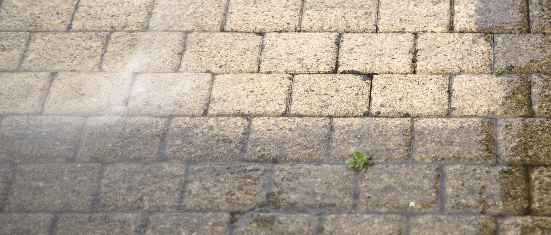 flagging and patios SW3